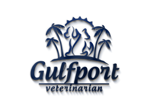 animal hospitals gulfport